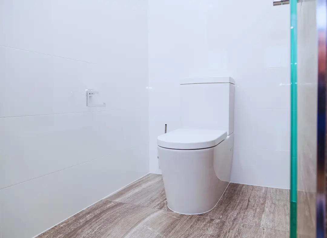 Remplacement de wc Saint-Privat-des-Vieux